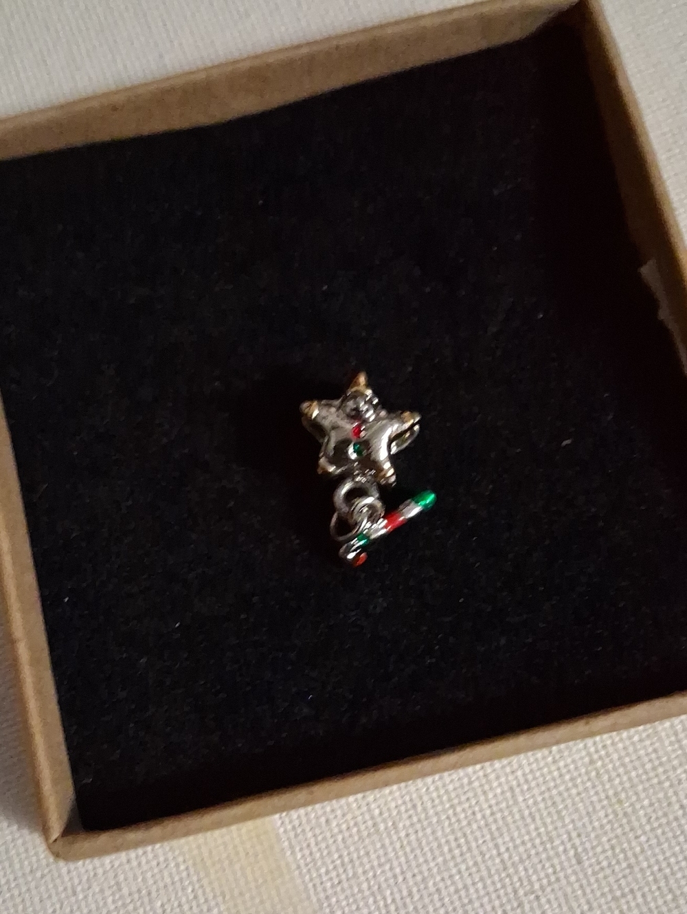 Source Unknown Silver Star Brooch with Red & Green Enamel